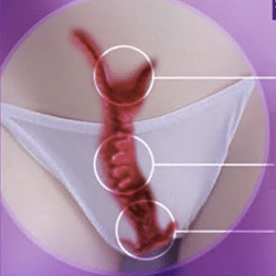 New Vagina Uterus