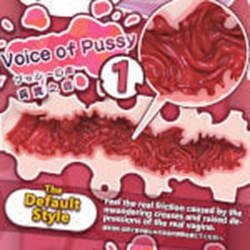 Voice of Pussy