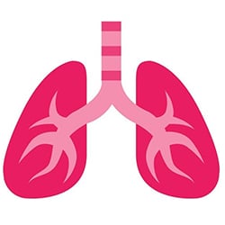 Breathing System 